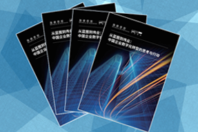 《从蓝图到伟业：中国企业数字化转型的思考与行动》