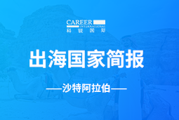 凯发k8旗舰GO GLOBAL | 沙特阿拉伯国家简报